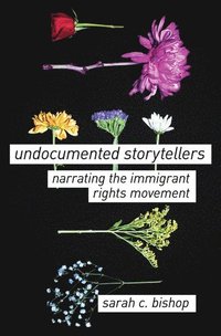 bokomslag Undocumented Storytellers