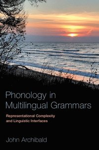 bokomslag Phonology in Multilingual Grammars