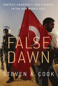 bokomslag False Dawn