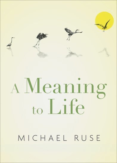 A Meaning to Life 1