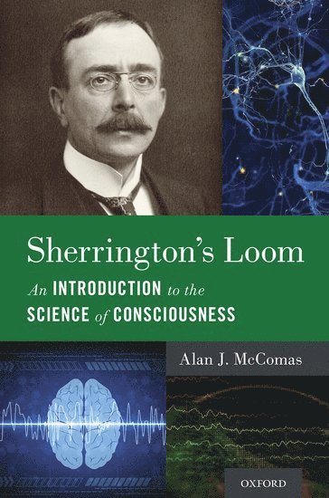 Sherrington's Loom 1