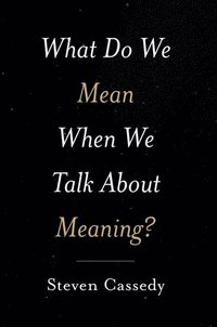 bokomslag What Do We Mean When We Talk about Meaning?