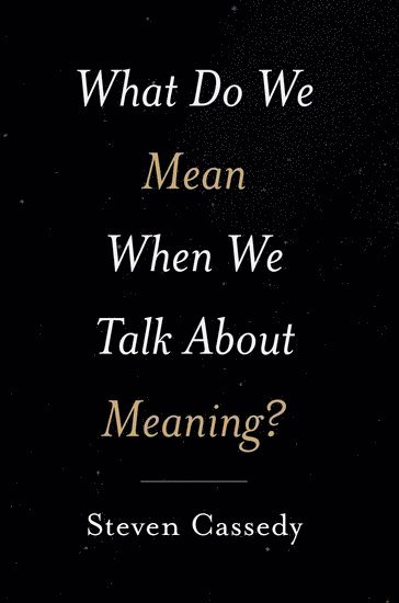 What Do We Mean When We Talk about Meaning? 1