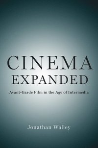 bokomslag Cinema Expanded
