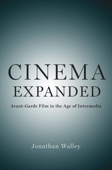 Cinema Expanded 1