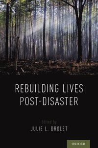 bokomslag Rebuilding Lives Post-Disaster