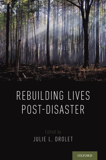 bokomslag Rebuilding Lives Post-Disaster