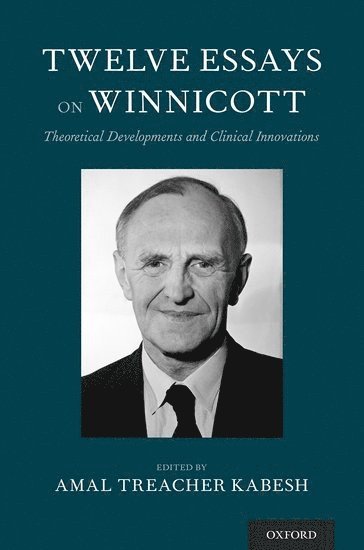 bokomslag Twelve Essays on Winnicott