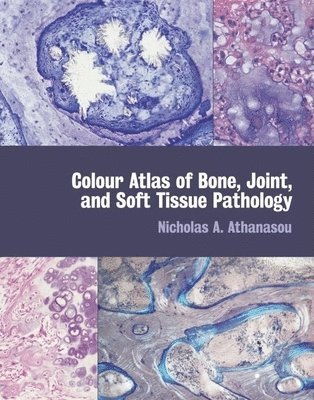 Colour Atlas of Bone, Joint, and Soft Tissue Pathology 1