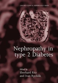 bokomslag Nephropathy in Type 2 Diabetes