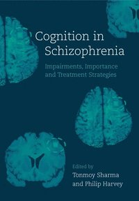 bokomslag Cognition in Schizophrenia