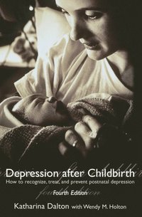 bokomslag Depression after Childbirth