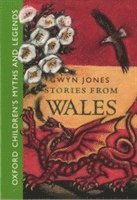 bokomslag Stories from Wales
