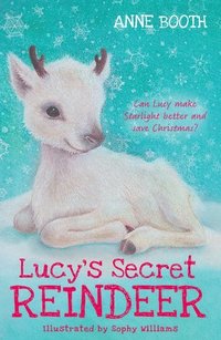 bokomslag Lucy's Secret Reindeer