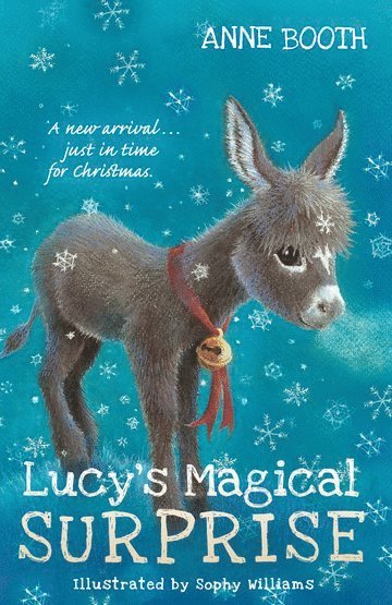 bokomslag Lucy's Magical Surprise