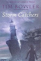 bokomslag Storm Catchers