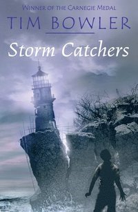 bokomslag Storm Catchers