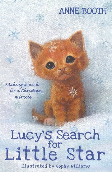 Lucy's Search for Little Star 1