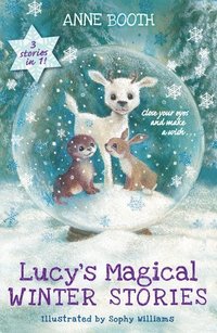 bokomslag Lucy's Magical Winter Stories