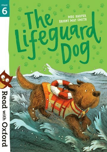 Read with Oxford: Stage 6: The Lifeguard Dog 1