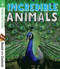 bokomslag Read with Oxford: Stage 4: Non-fiction: Incredible Animals
