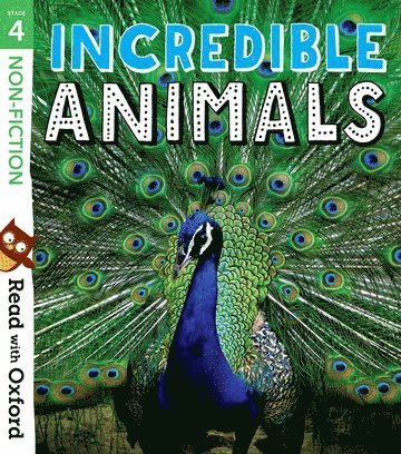 bokomslag Read with Oxford: Stage 4: Non-fiction: Incredible Animals