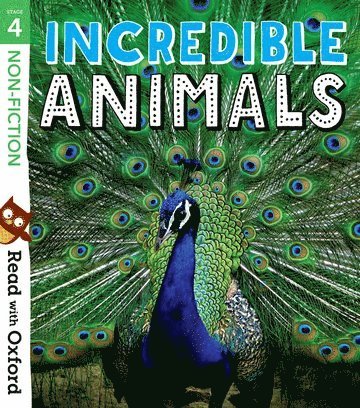 Read with Oxford: Stage 4: Non-fiction: Incredible Animals 1