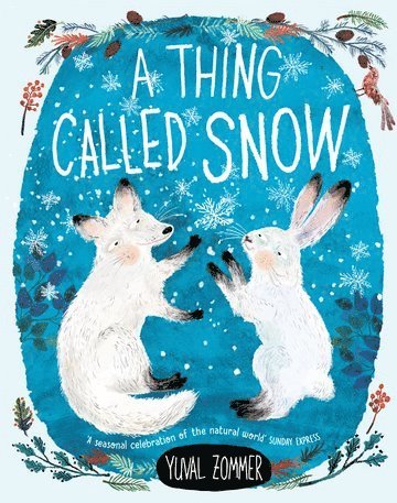 Yuval Zommer - A Thing Called Snow, Häftad