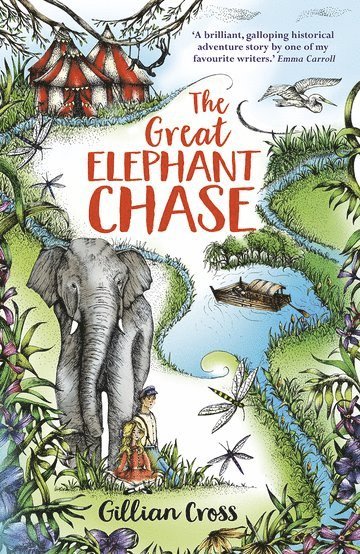 bokomslag The Great Elephant Chase