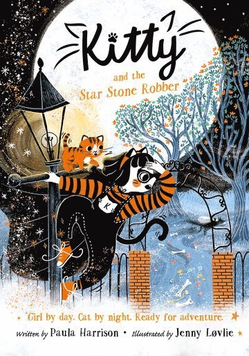 Paula Harrison - Kitty and the Star Stone Robber, Häftad