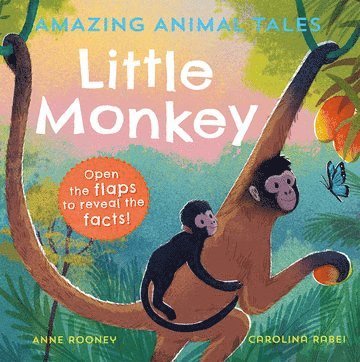 bokomslag Amazing Animal Tales: Little Monkey