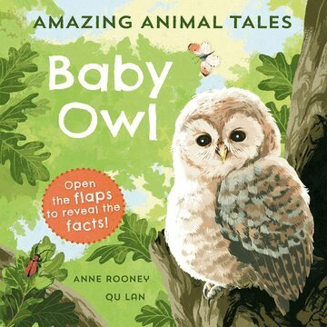 Anne Rooney - Amazing Animal Tales: Baby Owl, Häftad