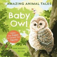 bokomslag Amazing Animal Tales: Baby Owl