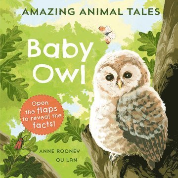 Amazing Animal Tales: Baby Owl 1
