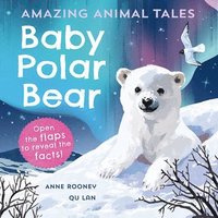 bokomslag Amazing Animal Tales: Baby Polar Bear