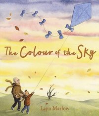 bokomslag The Colour of the Sky