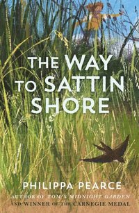 bokomslag The Way to Sattin Shore