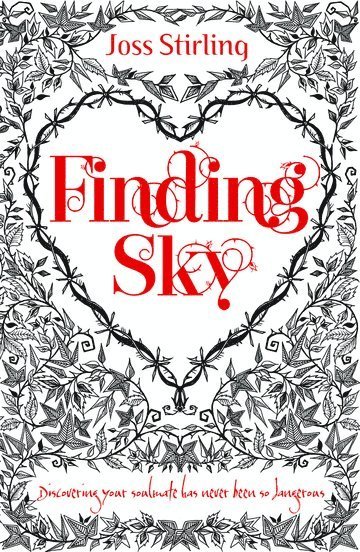 bokomslag Finding Sky