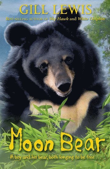 Moon Bear 1