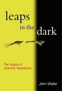 bokomslag Leaps In The Dark