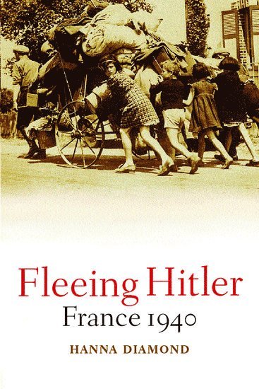 bokomslag Fleeing Hitler