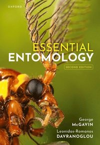 bokomslag Essential Entomology