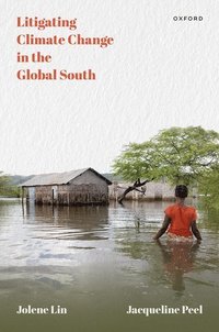 bokomslag Litigating Climate Change in the Global South