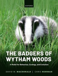 bokomslag The Badgers of Wytham Woods