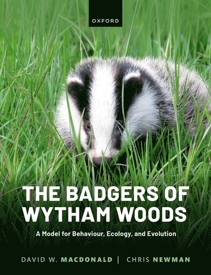 The Badgers of Wytham Woods 1