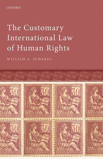 bokomslag The Customary International Law of Human Rights