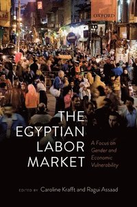 bokomslag The Egyptian Labor Market