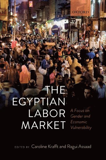 bokomslag The Egyptian Labor Market