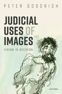 bokomslag Judicial Uses of Images