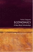 bokomslag Economics: A Very Short Introduction
